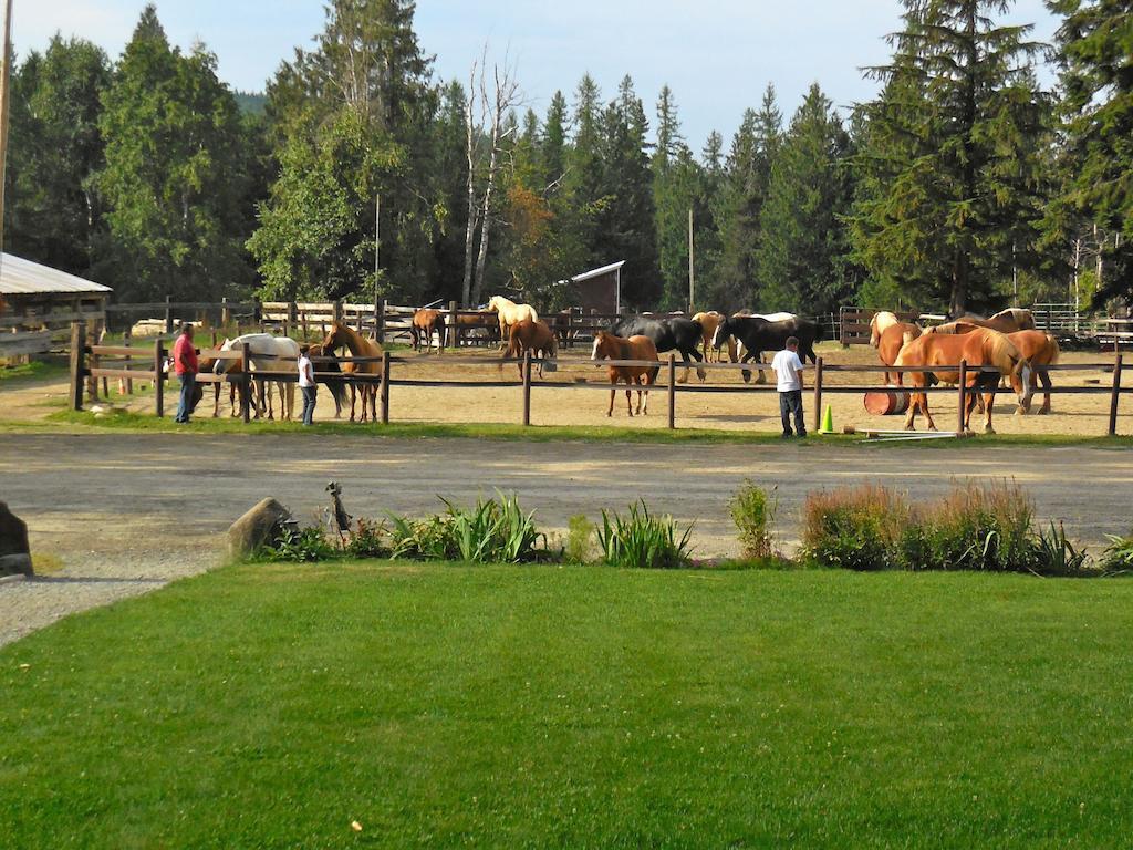 Western Pleasure Guest Ranch Sandpoint Exterior foto